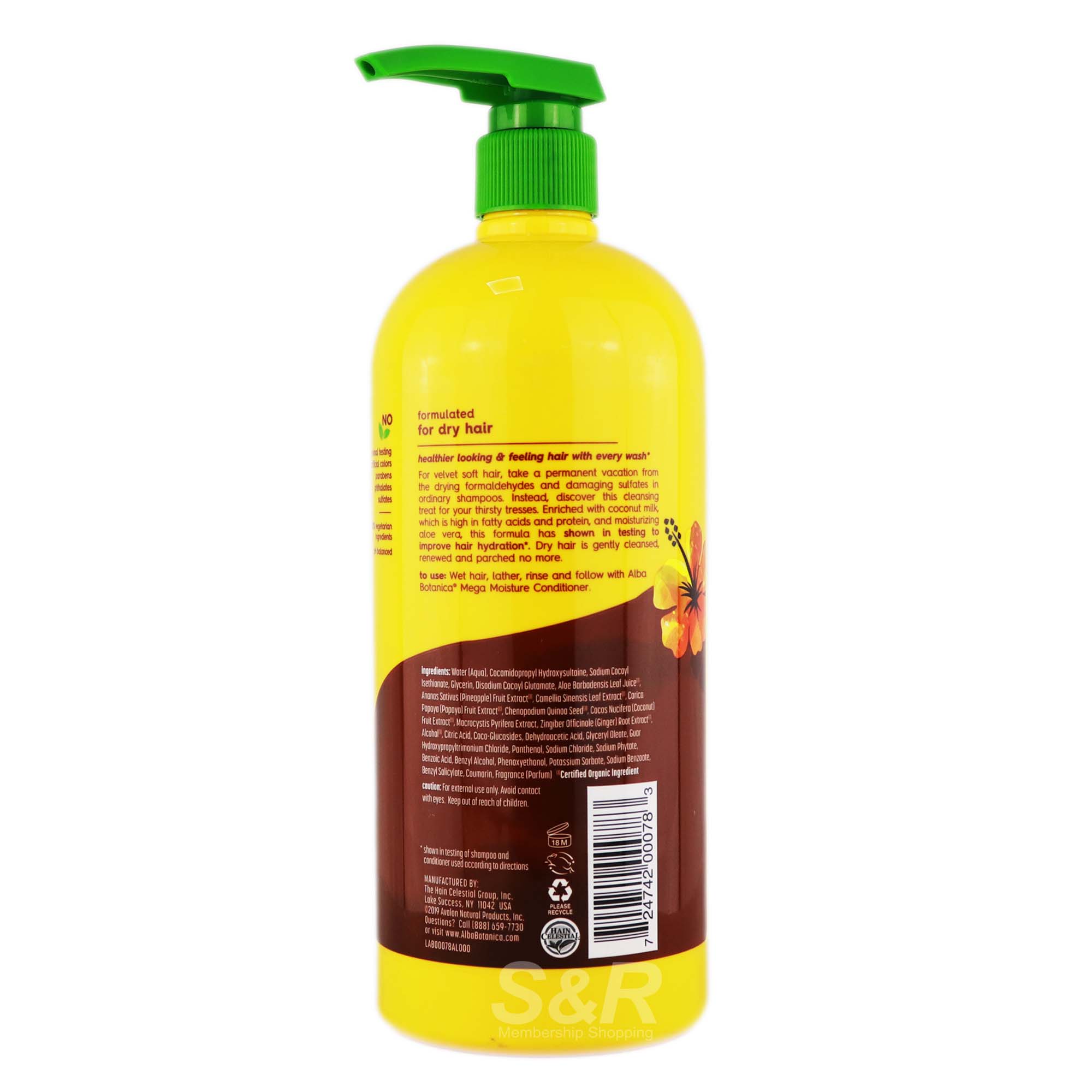 Organic Shampoo