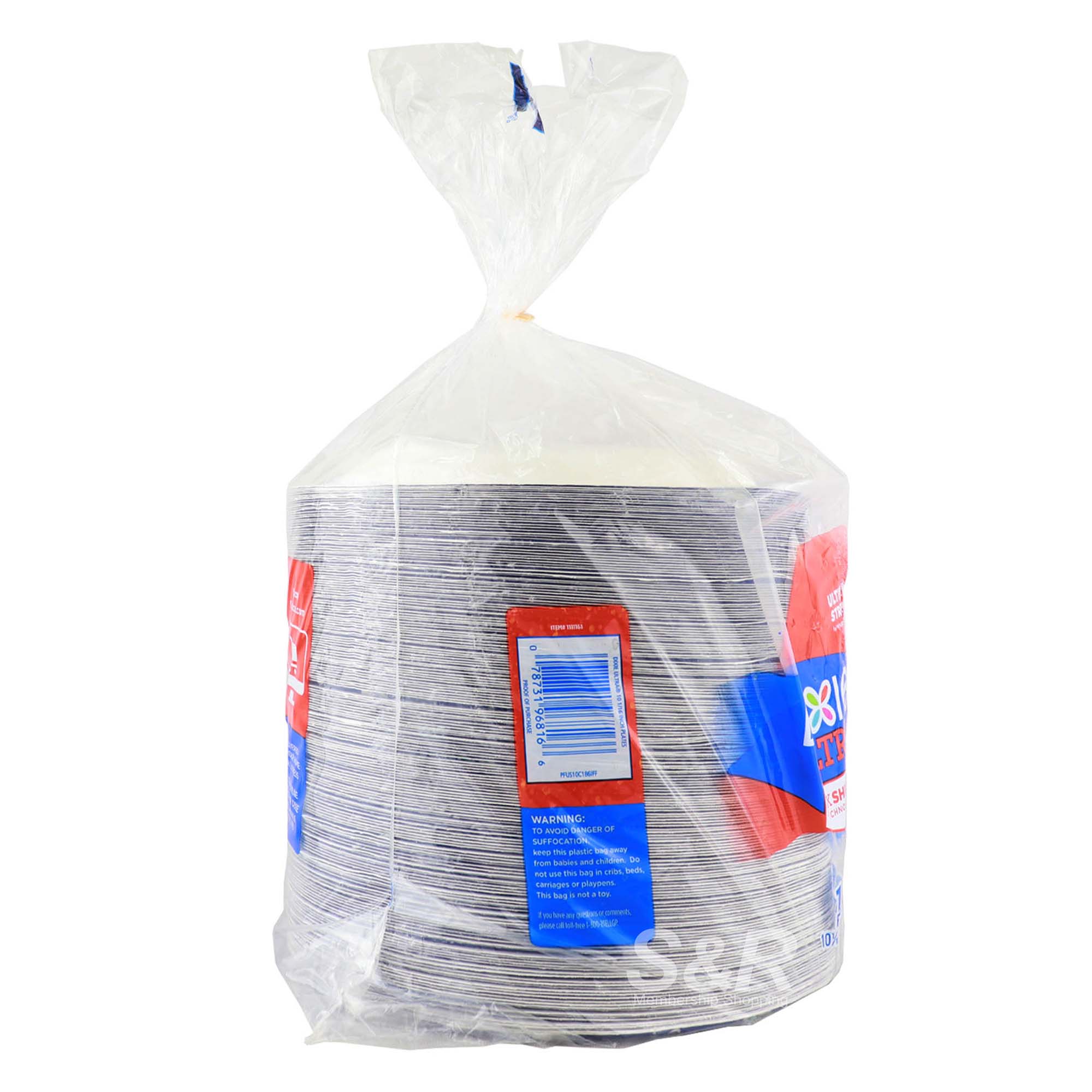 Dixie Disposable Plates