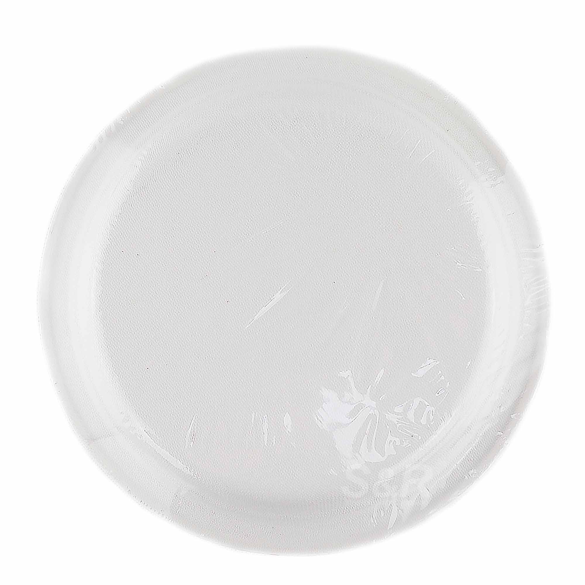 Biodegradable 9" Plates