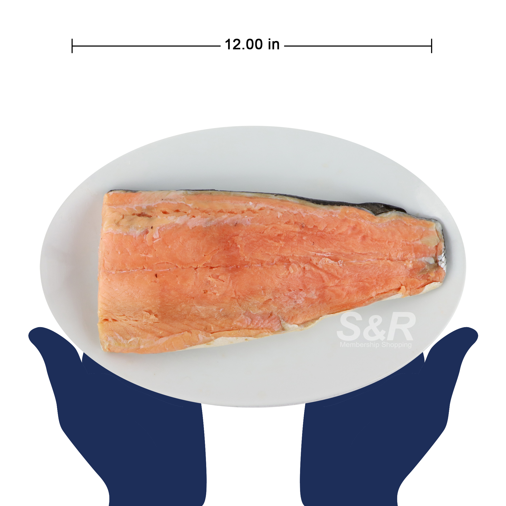 Salmon Fillet