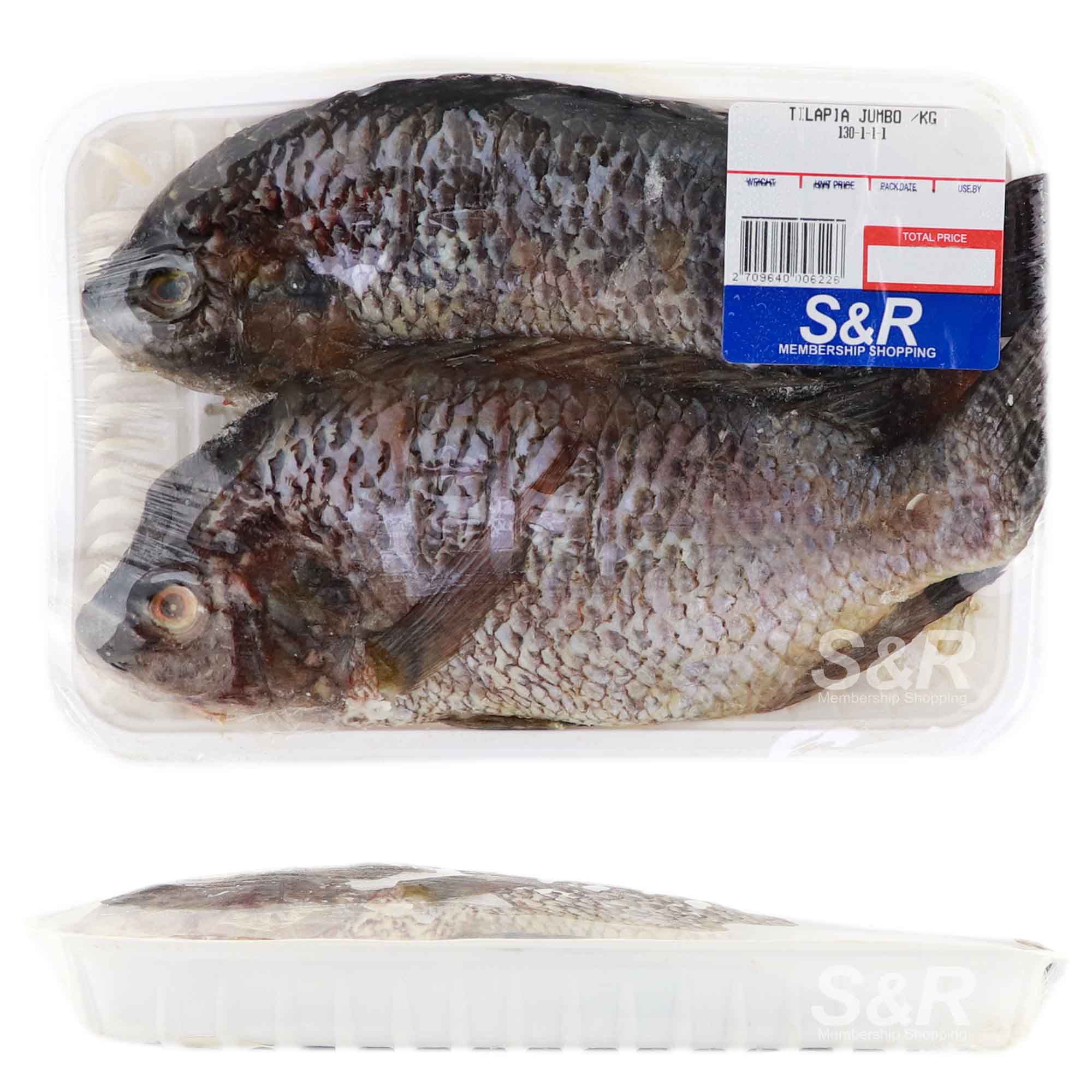 Tilapia Jumbo