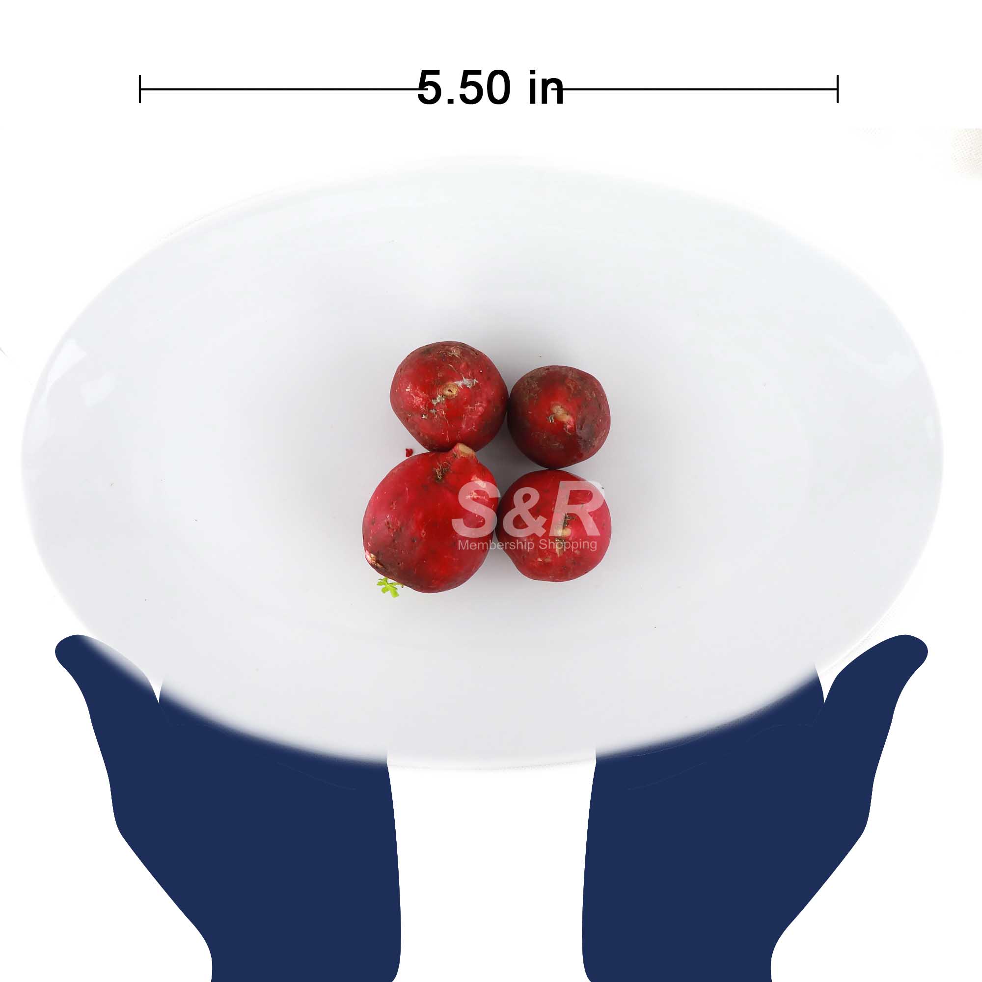 S&R Red Radish Radish