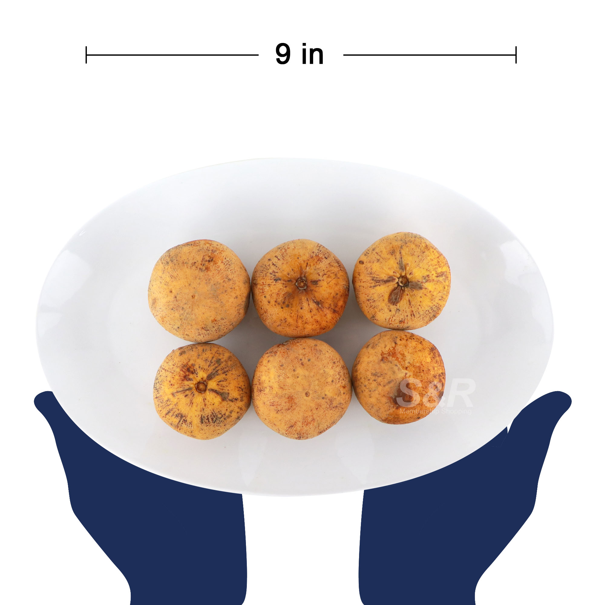 S&R Bangkok Santol