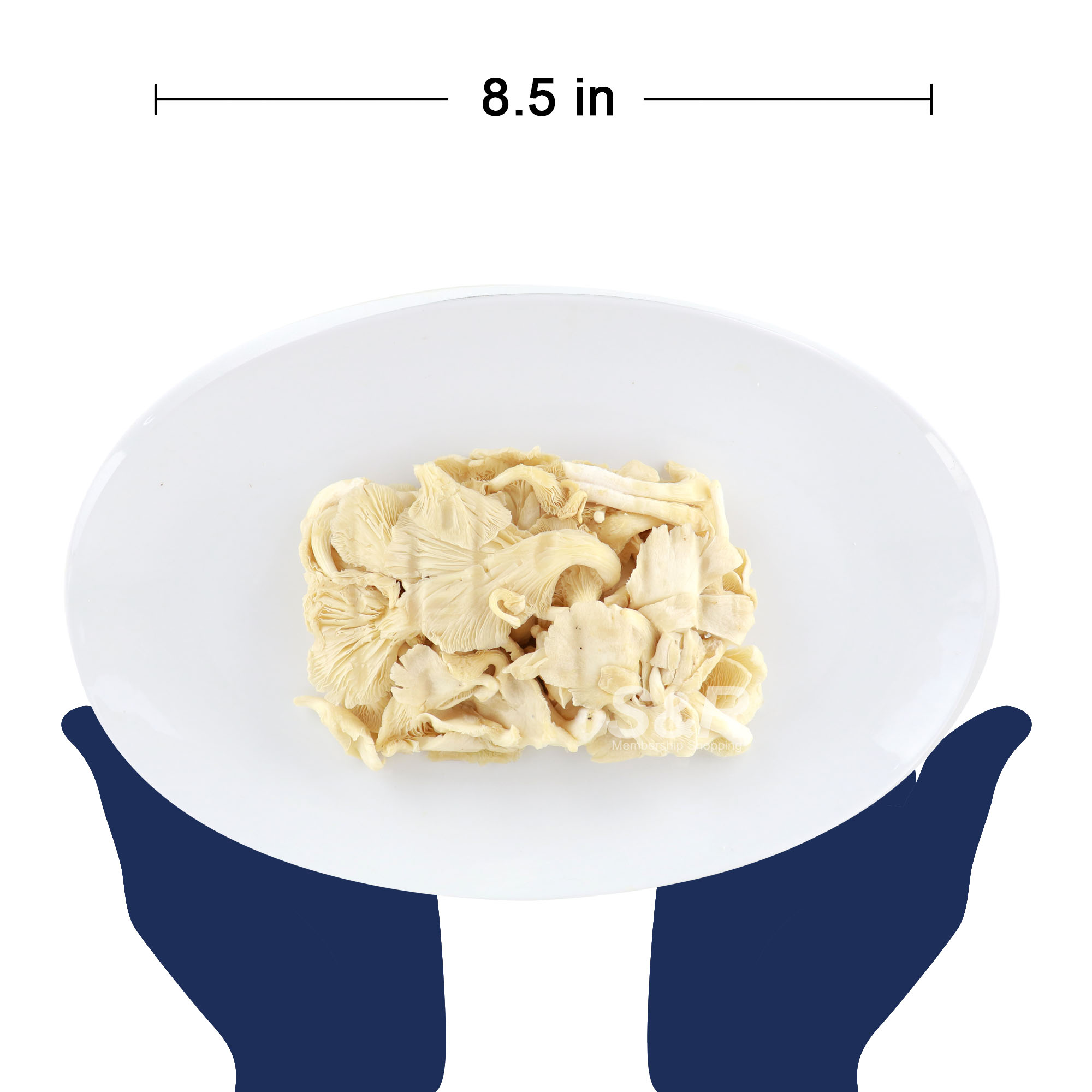 S&R Oyster Mushrooms