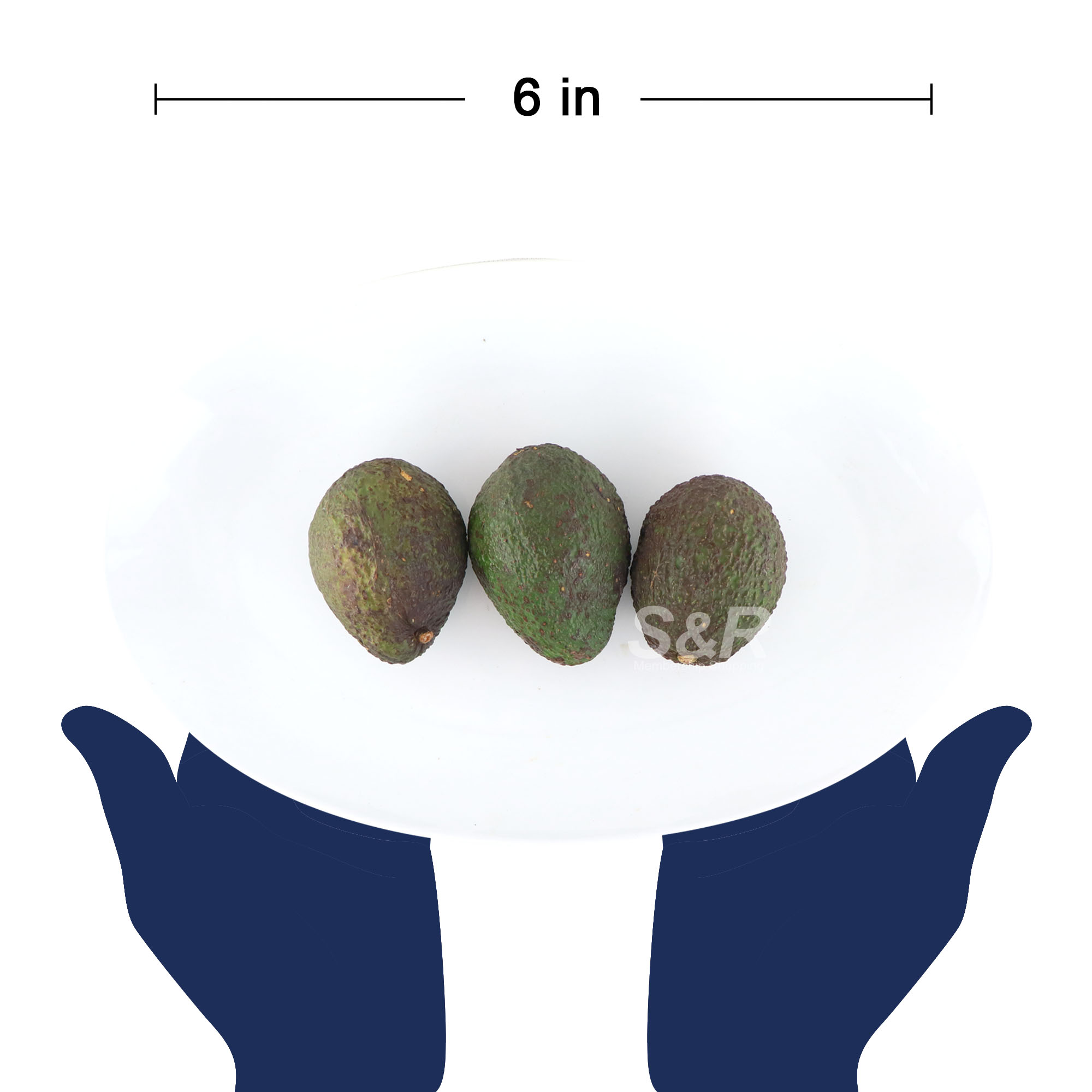 S&R Avocado