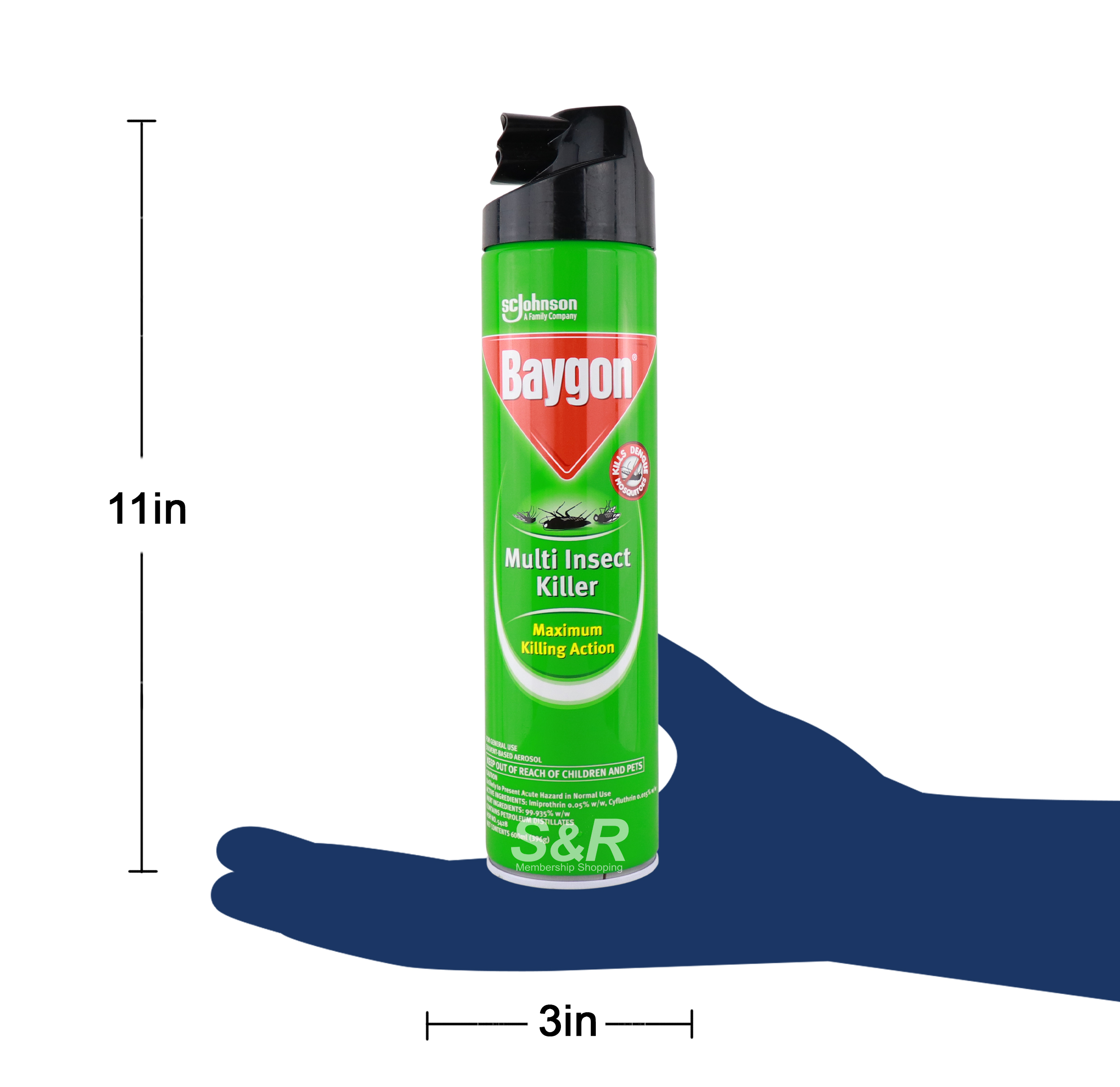 Baygon Multi Insect Killer