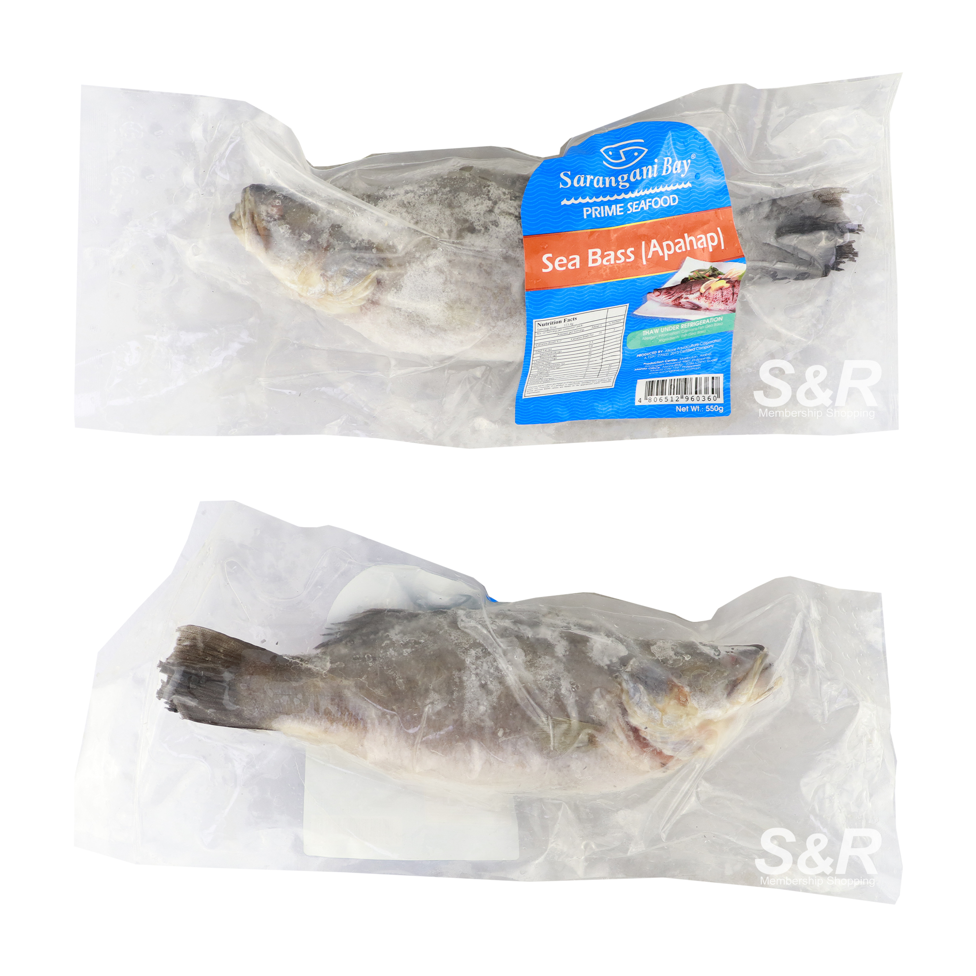 Sarangani Bay Sea Bass