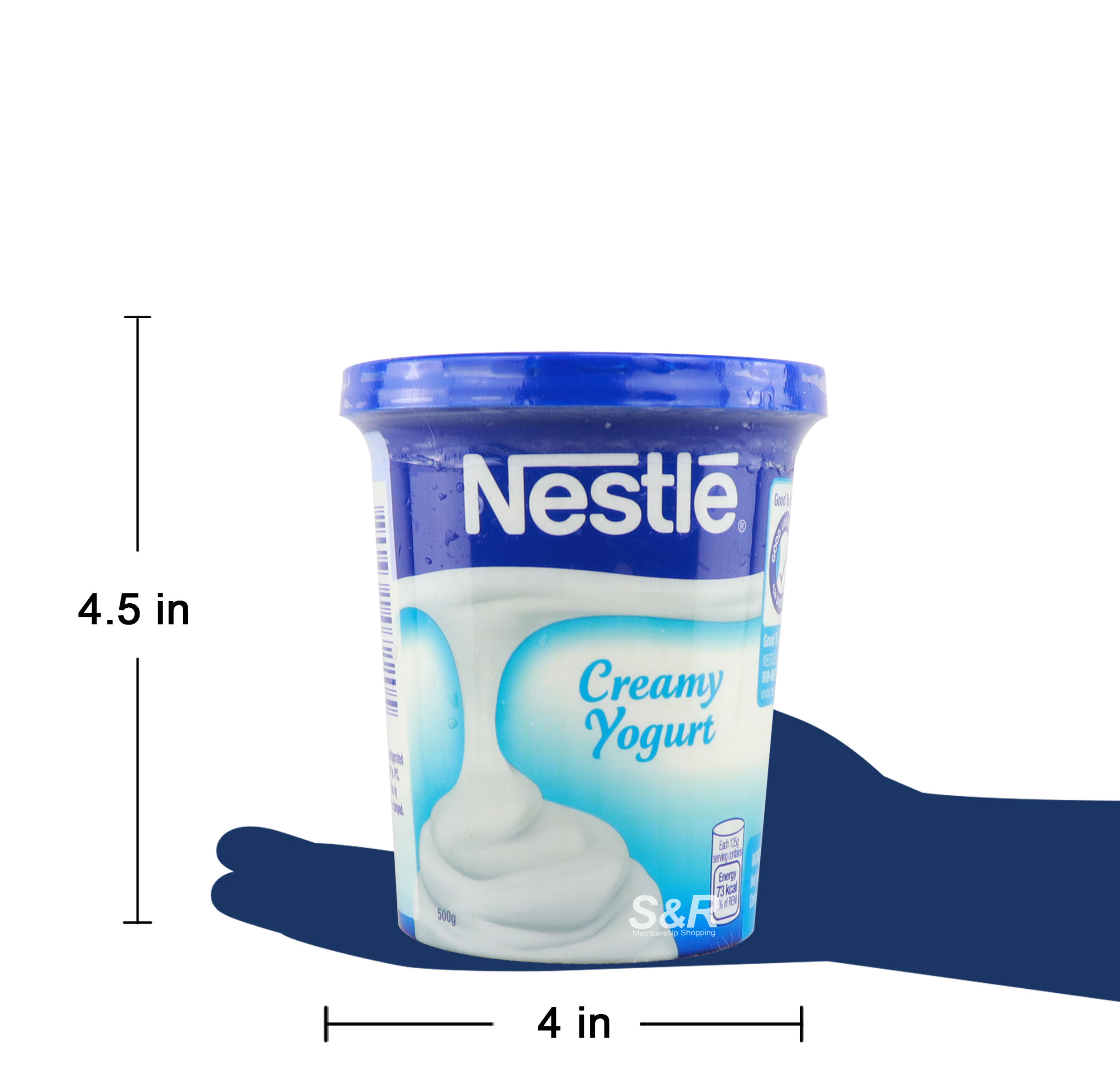 Creamy Yogurt