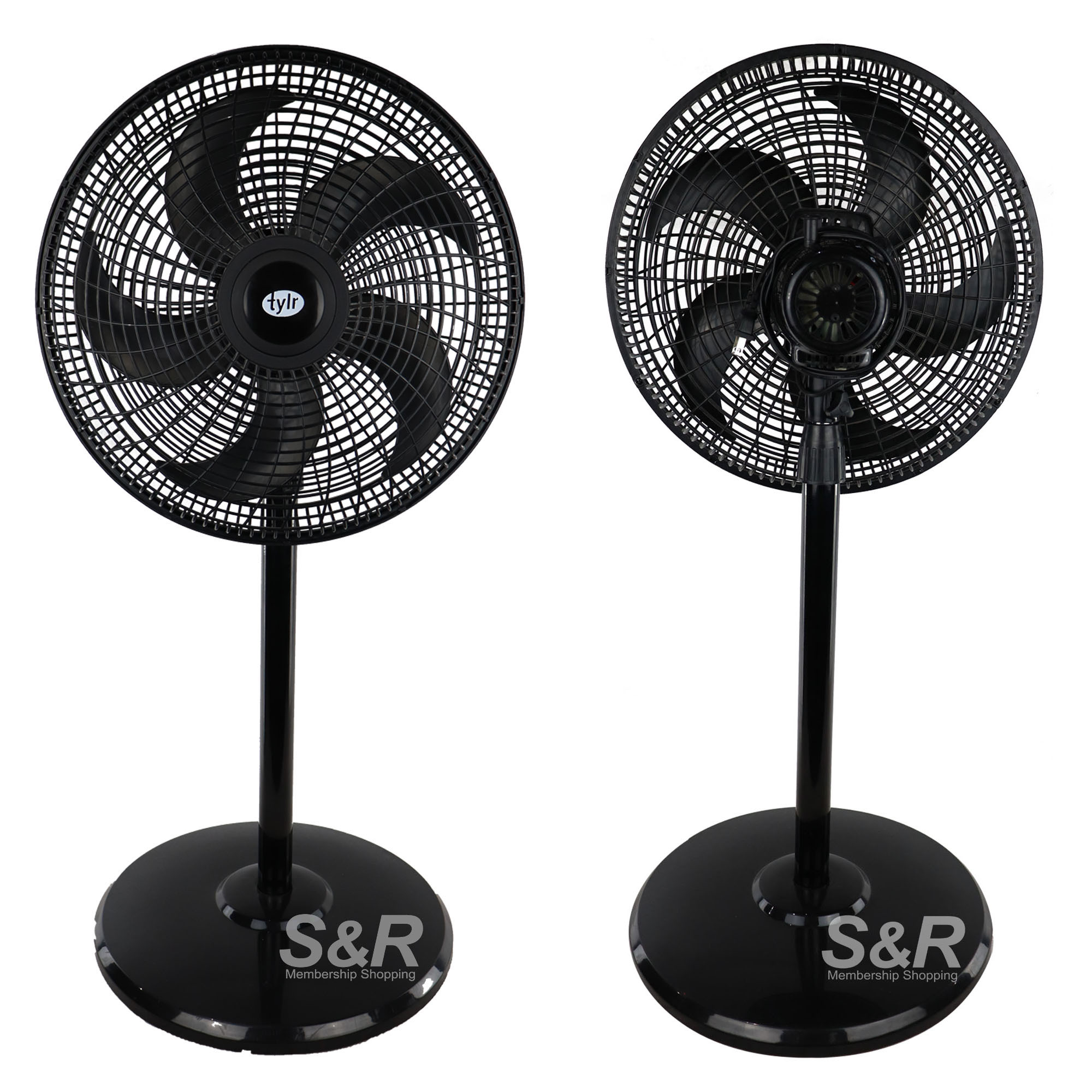 Tylr Stand Fan