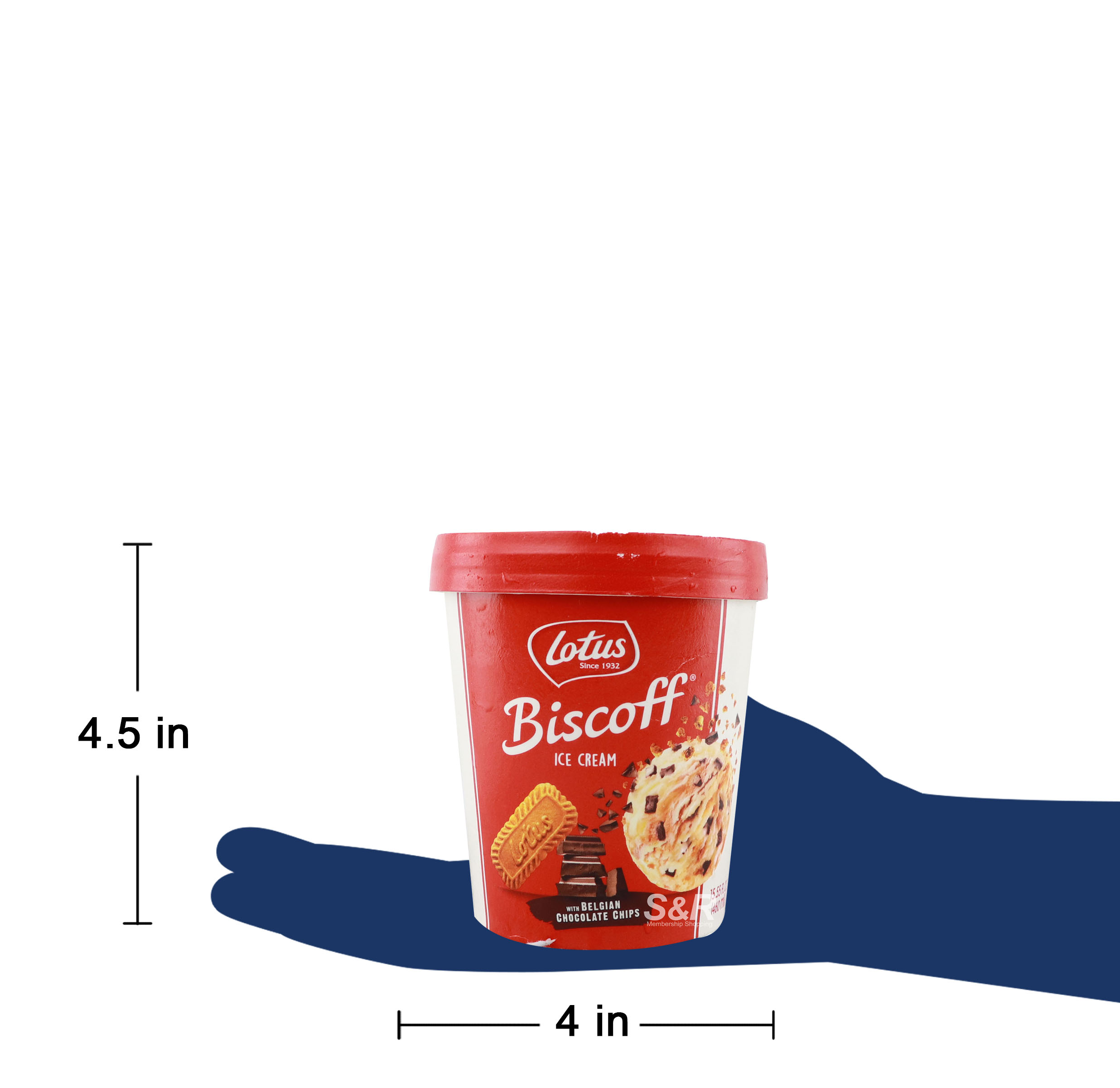 Lotus Biscoff Chocolate Chip Ice Cream 460mL