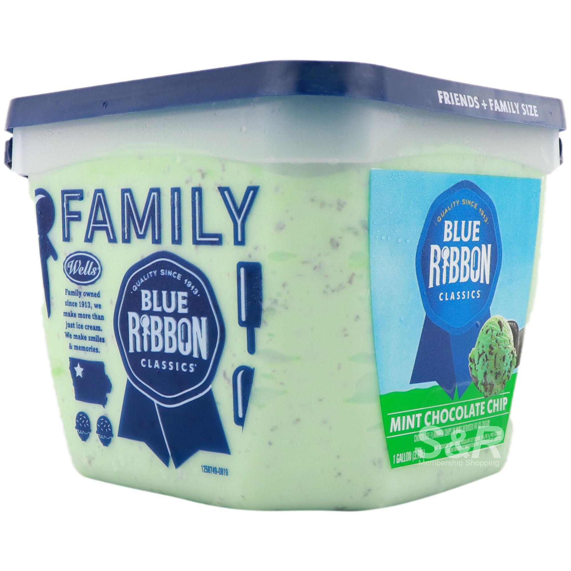 Blue Ribbon Classics Mint Chocolate Chip