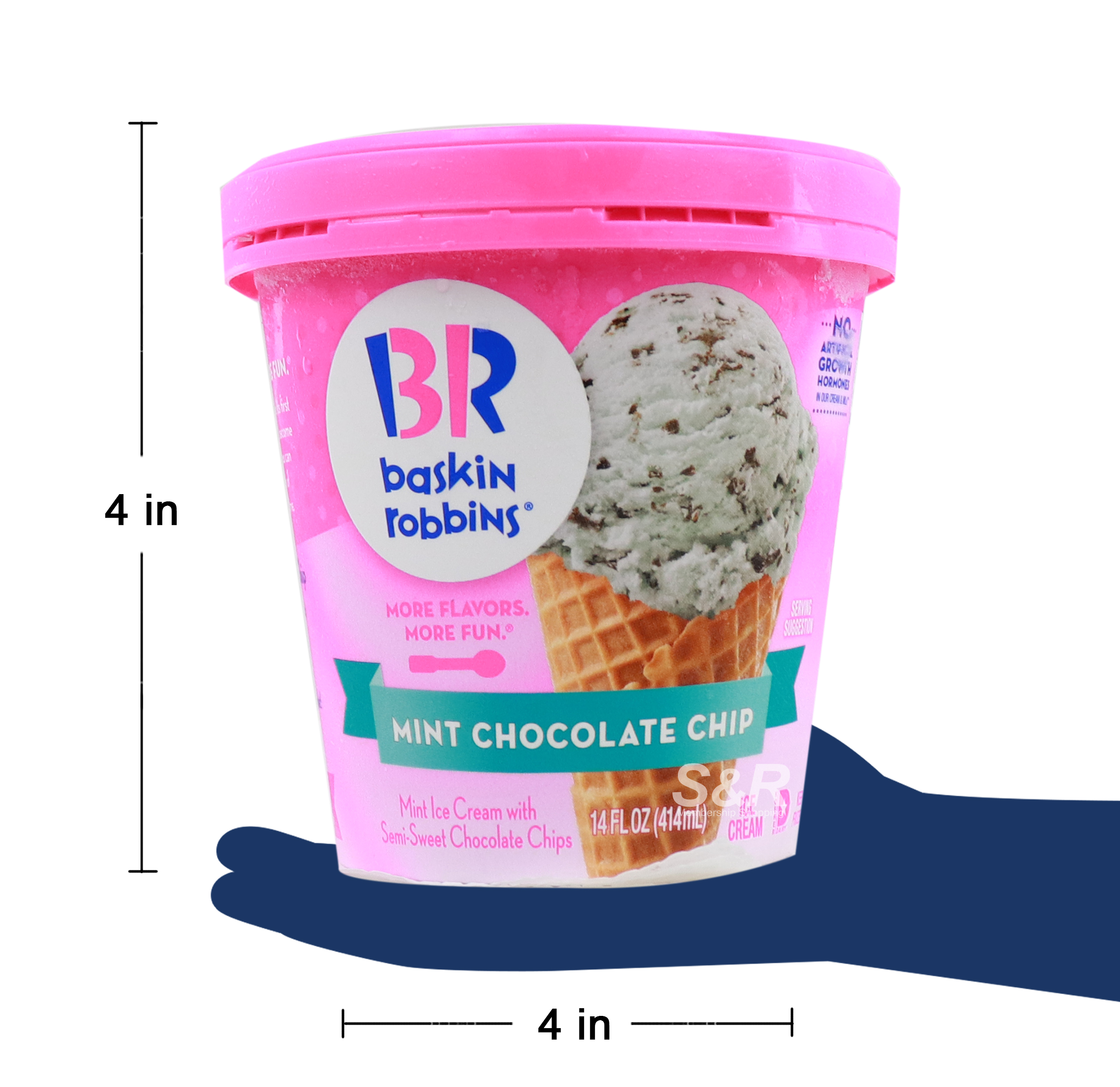 From Dream To Ice Cream Baskin Robbins Is Hiring Your Sweetest Candidates - k9fdrgd