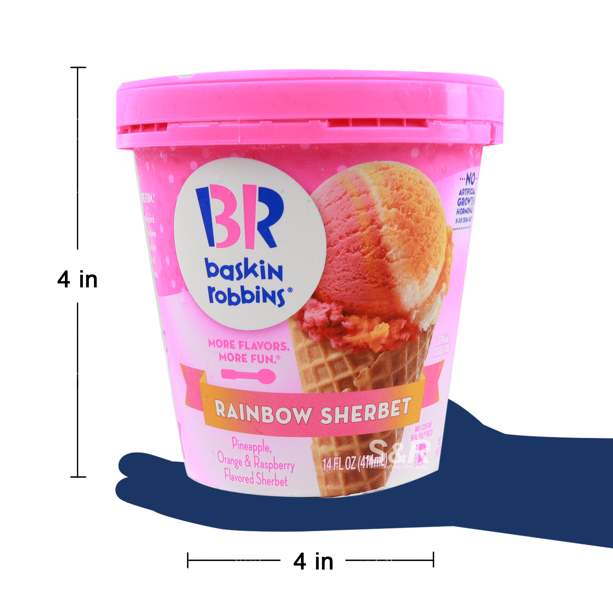 Baskin Robbin's Ice Cream