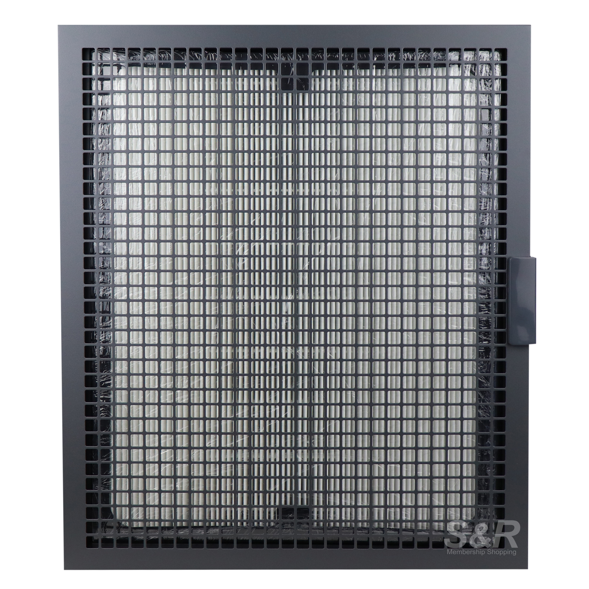 Blueair Air Purifier