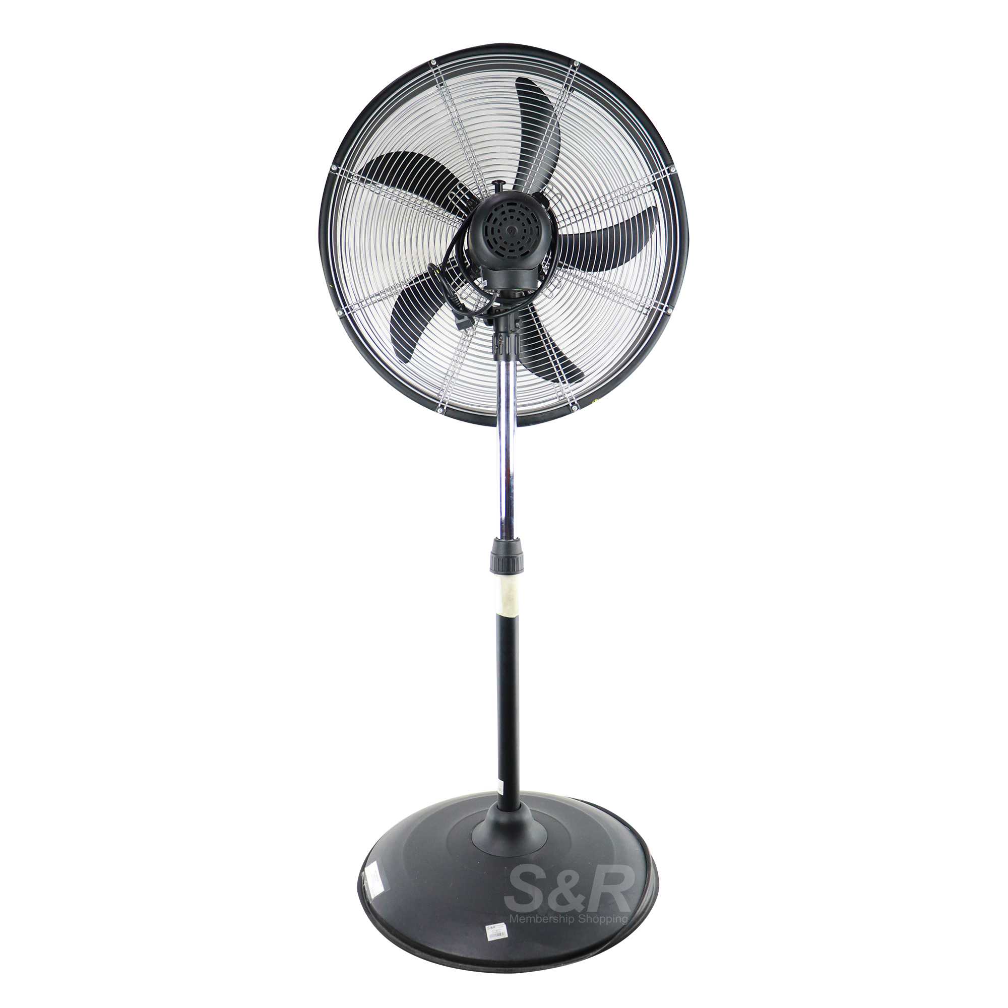 Stand Fan