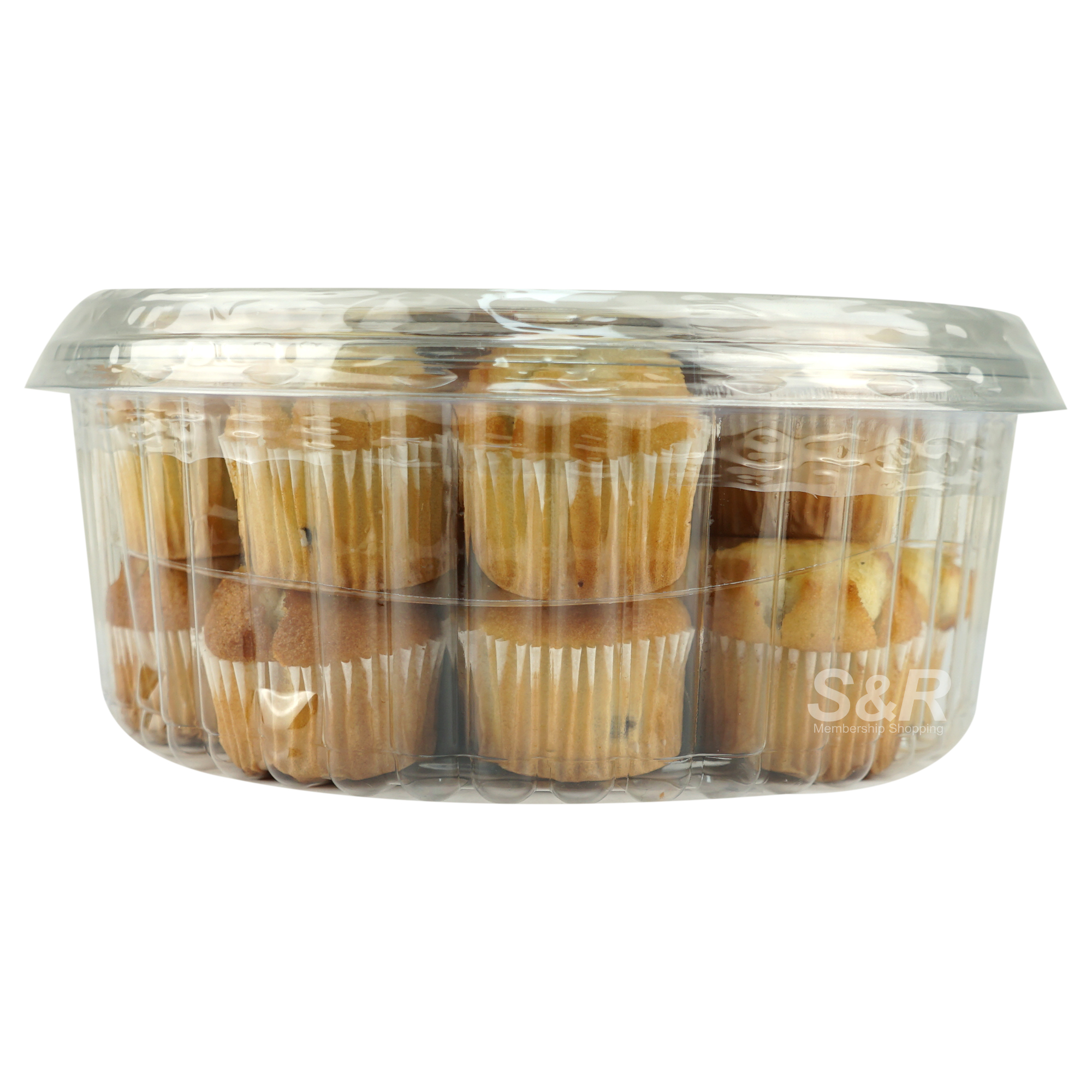Café Valley Blueberry Mini Muffins