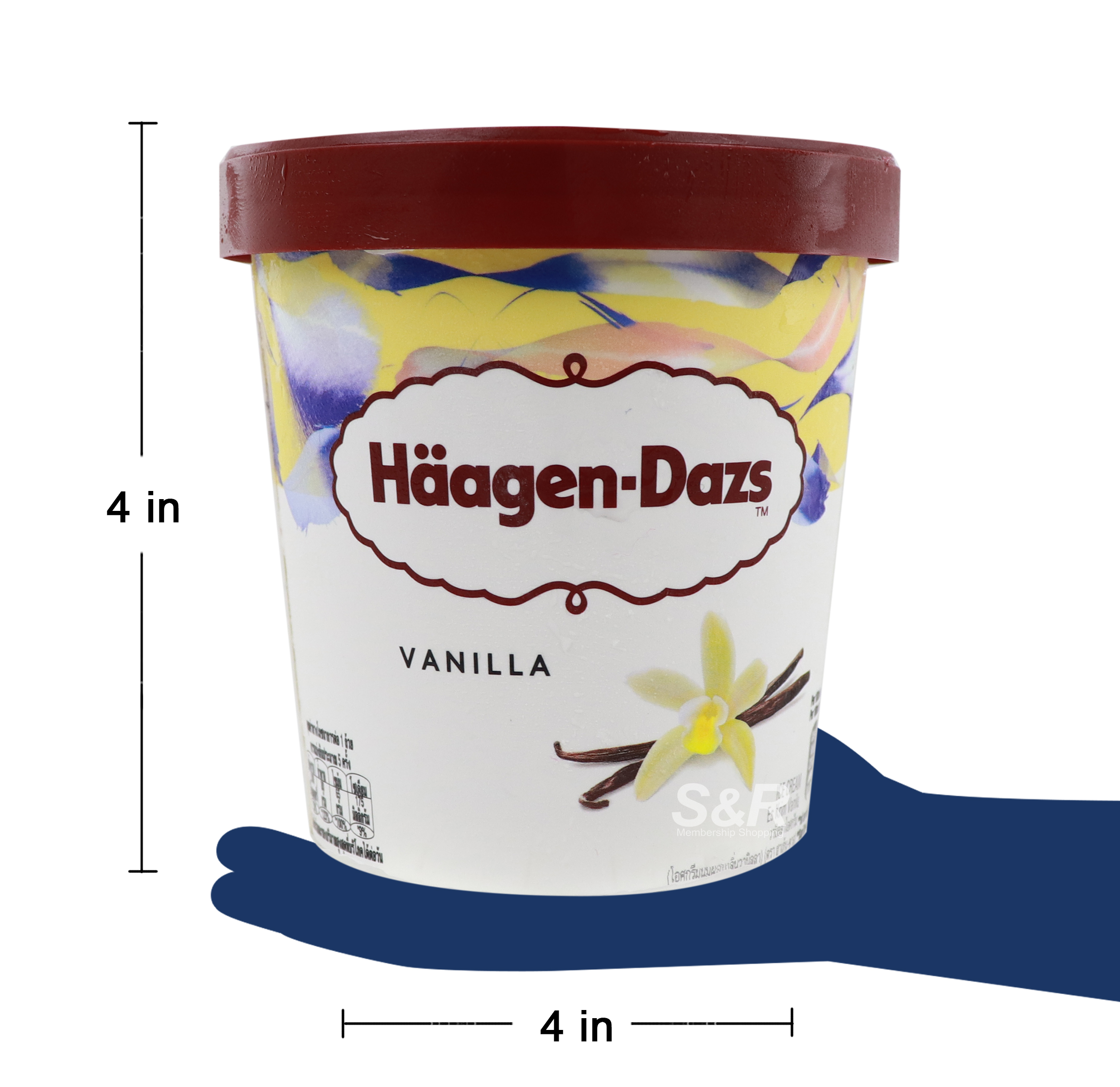 Haagen-Dazs Vanilla Flavored Ice Cream