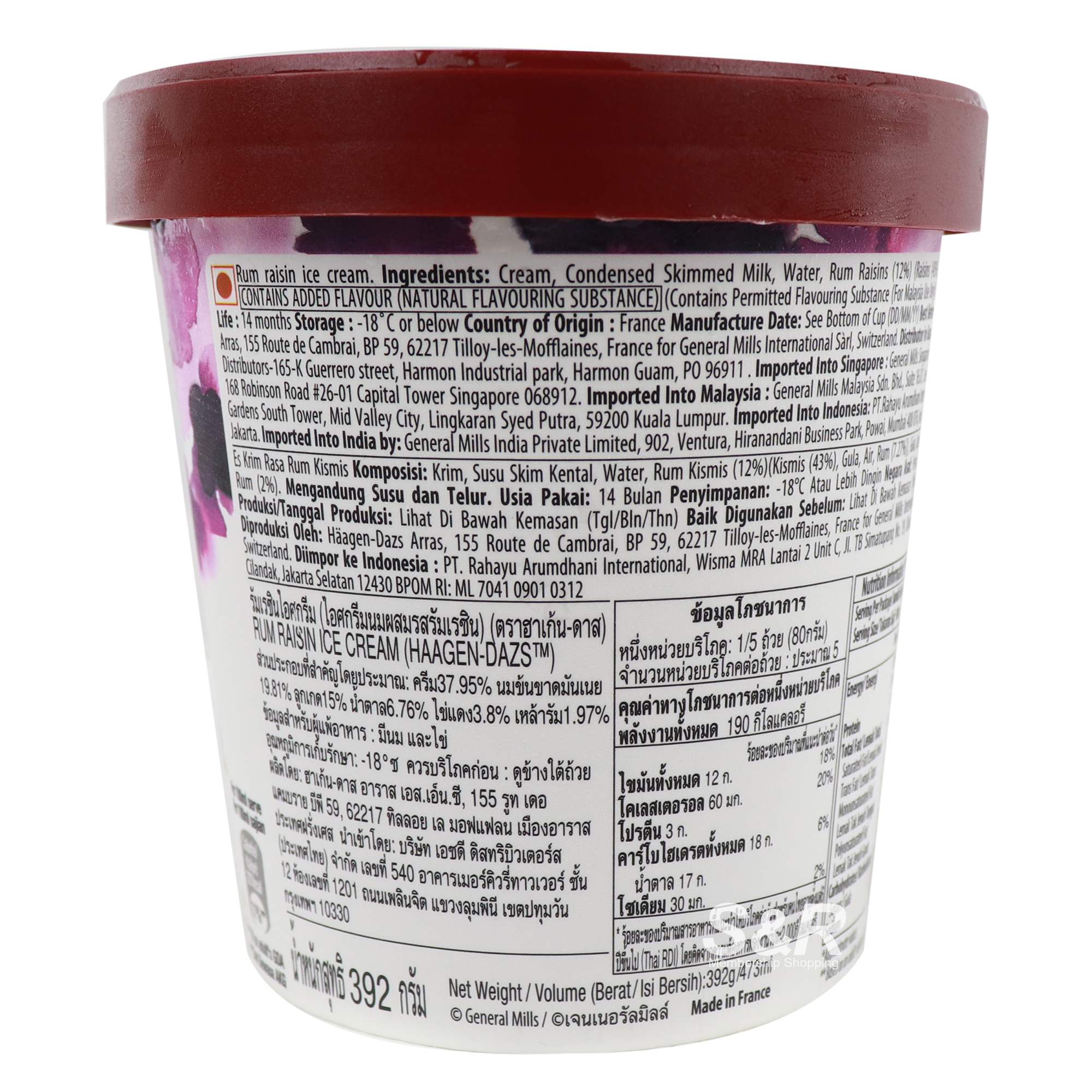 Indulge In The Symphony Of Flavors: Haagen-Dazs Rum Raisin, Where Luxury Meets Delight