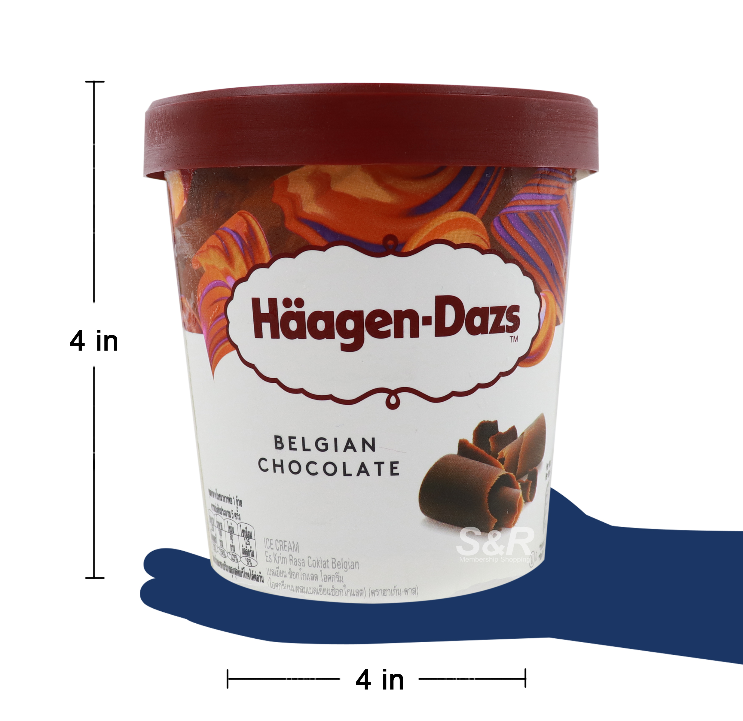 Haagen-Dazs Belgian Chocolate Ice Cream
