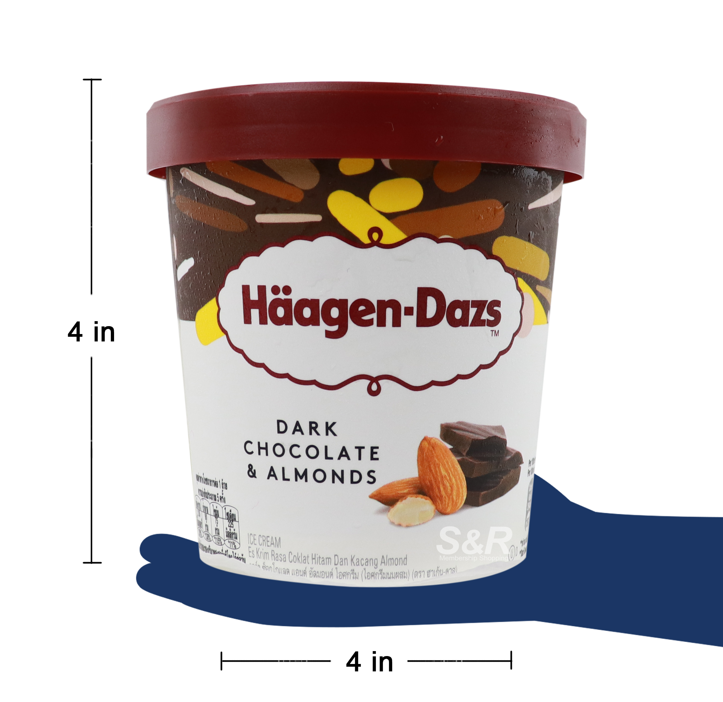 Haagen-Dazs Dark Chocolate & Almonds Ice Cream
