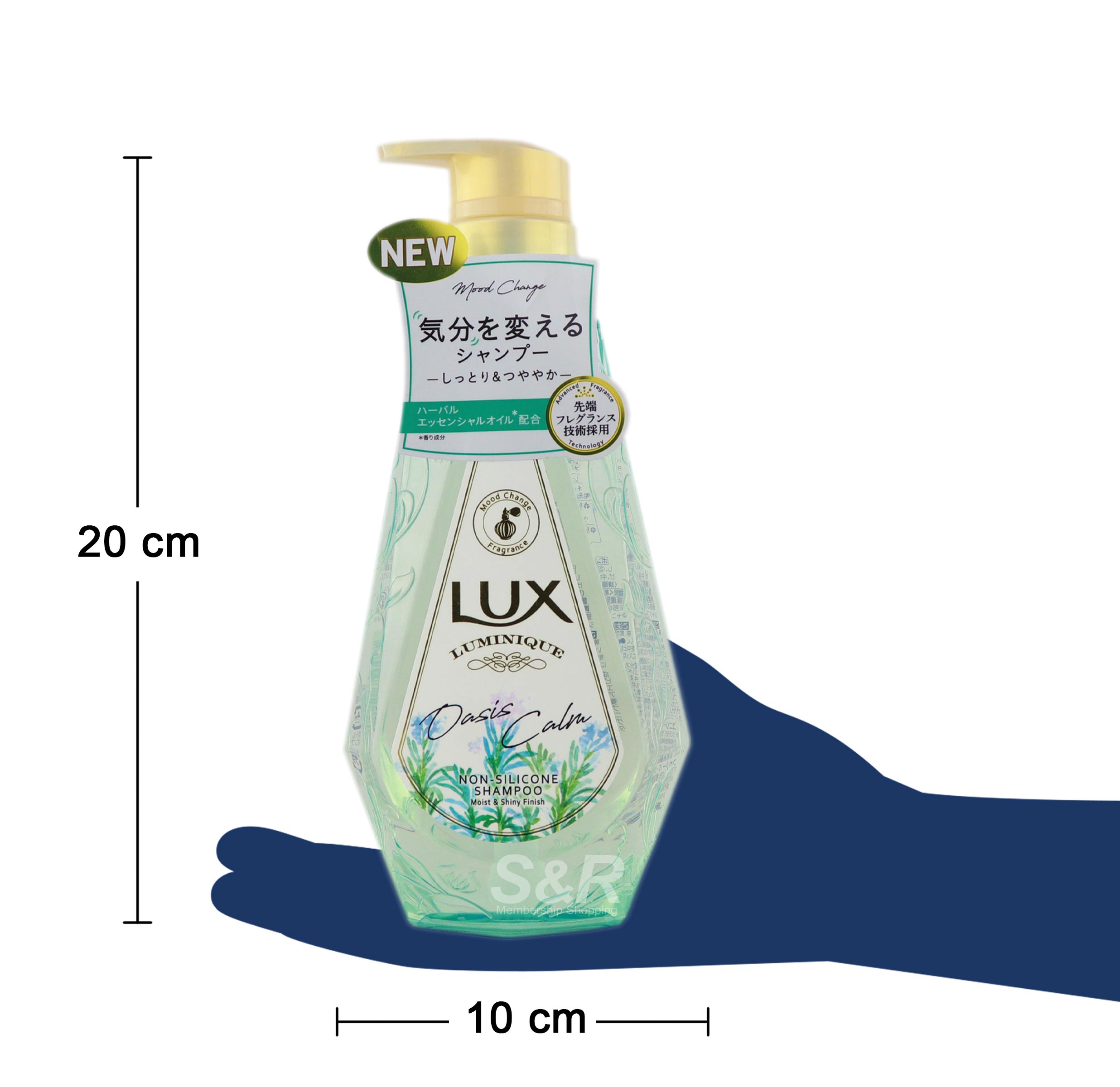 Lux Luminique Oasis Calm