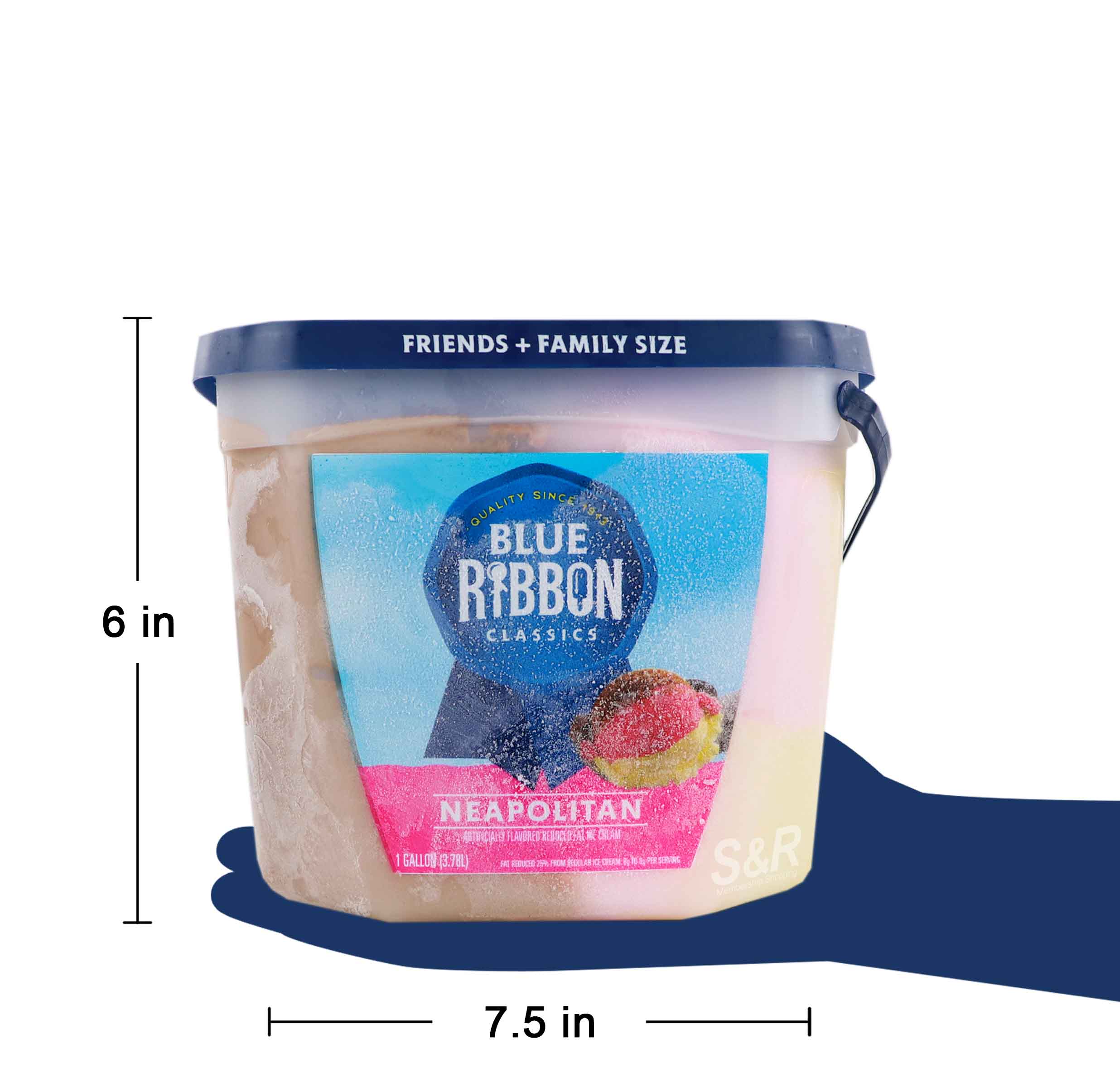 Blue Bunny Ribbon Classics Neapolitan