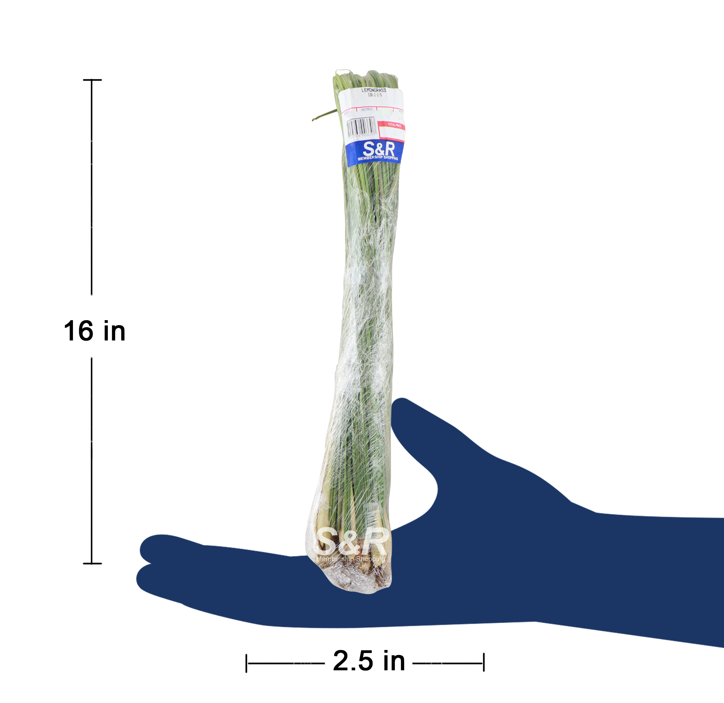 S&R Membership Shopping Lemongrass