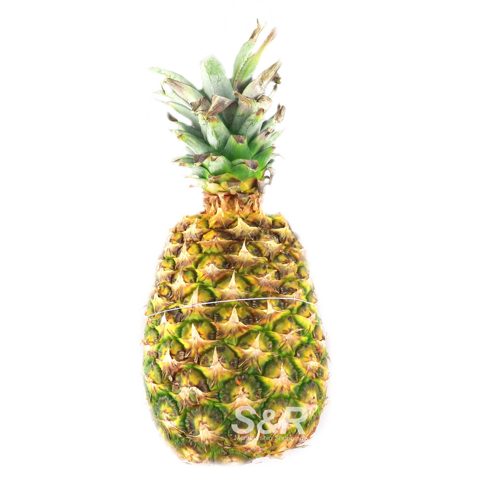 Dole Tropical Gold Pineapple