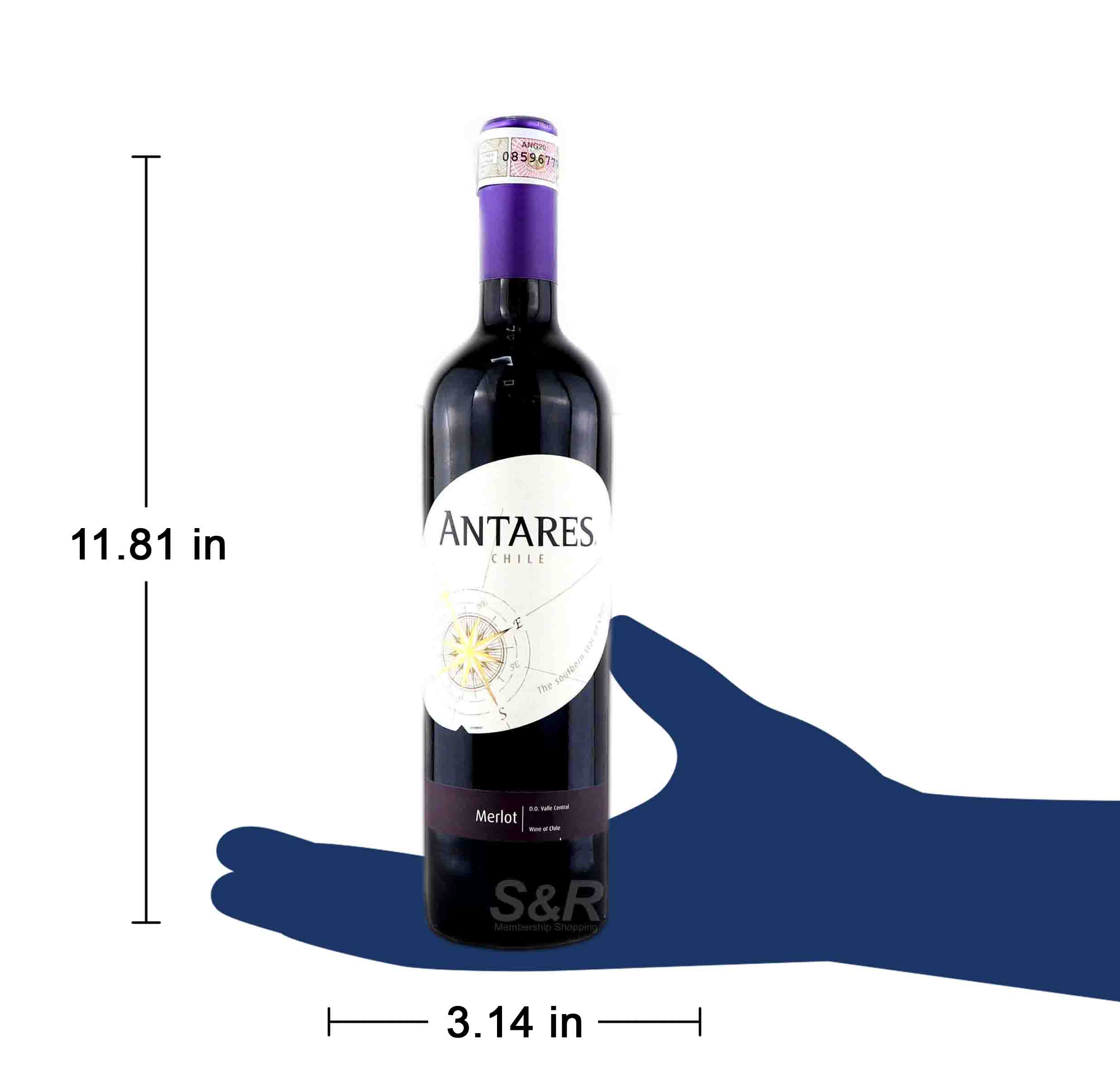 Antares Merlot