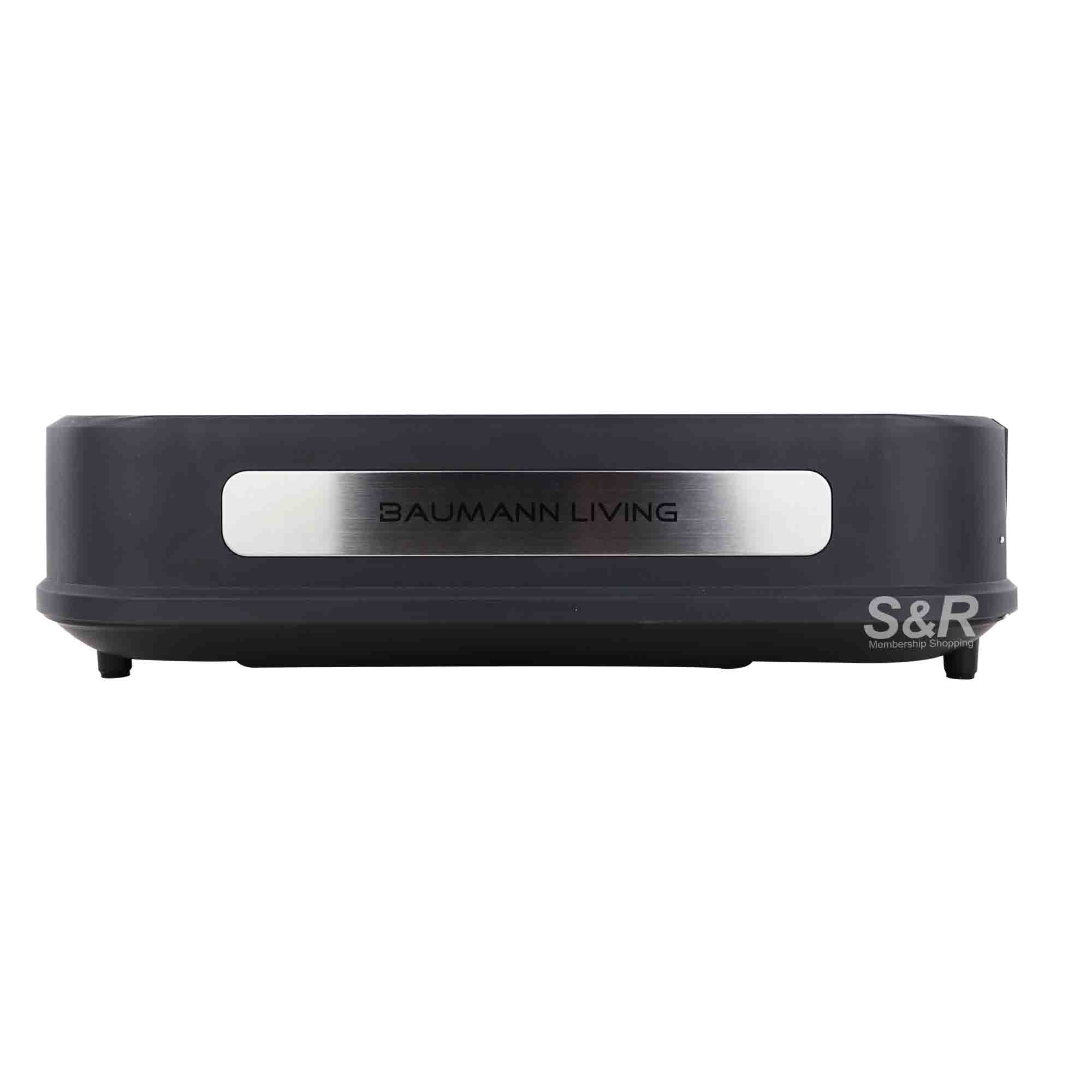 Baumann smokeless grill