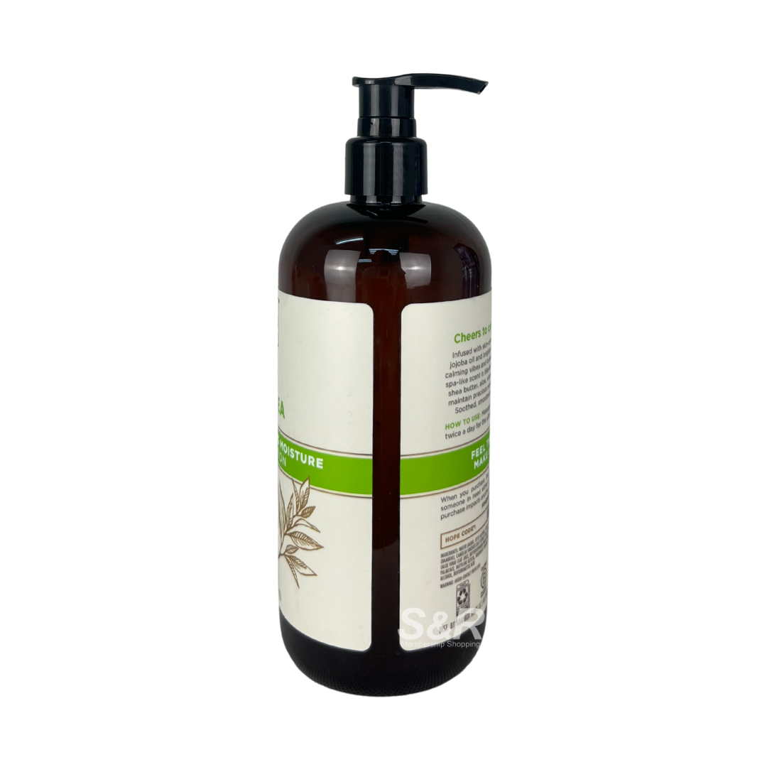 Soapbox Aloe & Green Tea Soothing Moisture Body Lotion 473mL