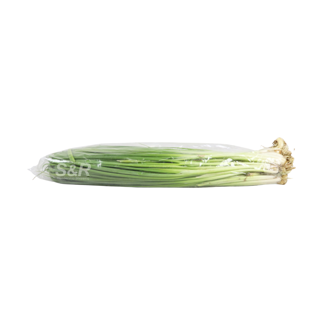 Spring Onion Price Welcome to S&R Shopping | S&R Shopping