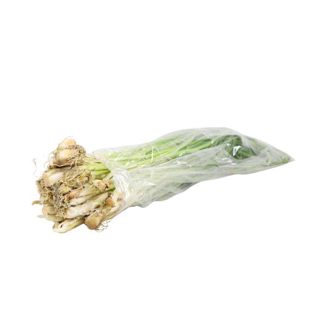 Spring Onion Price Welcome to S&R Shopping | S&R Shopping